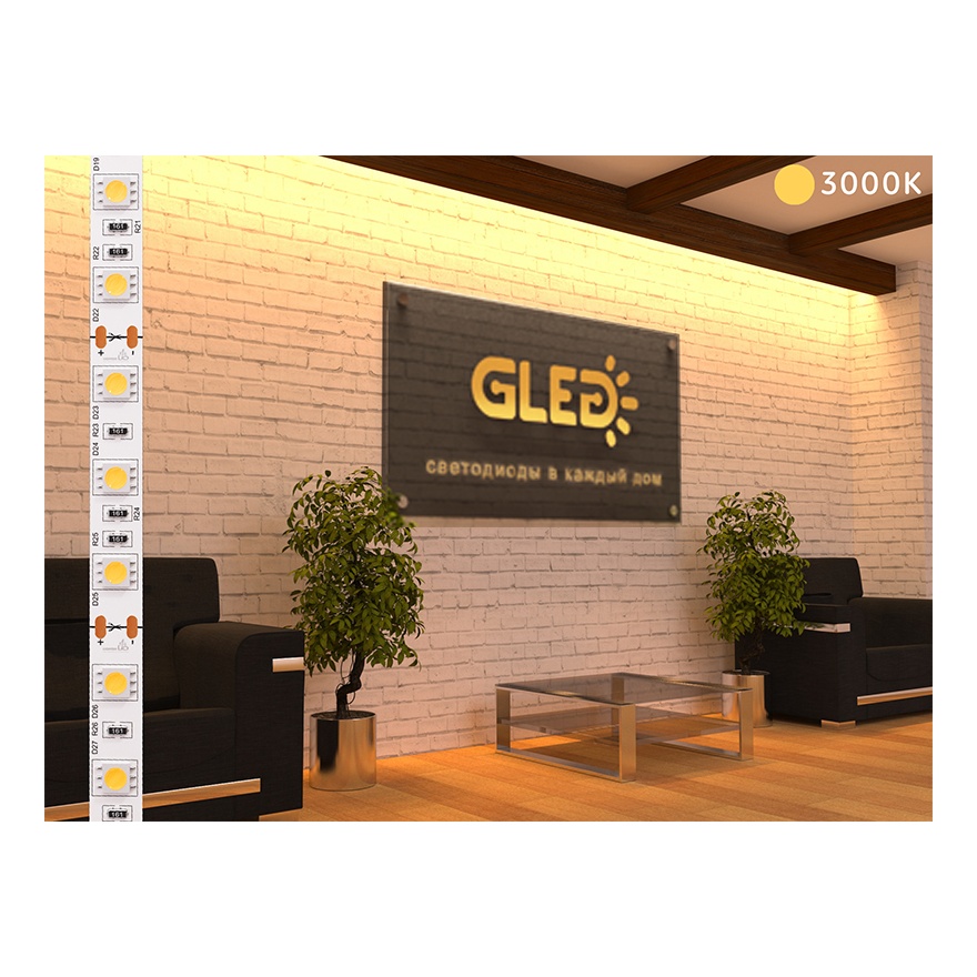 GLed Светодиодная лента GLed IP22 5050/60 LED (ELITE, 24, Холодный белый 6000 К) 4601011934016