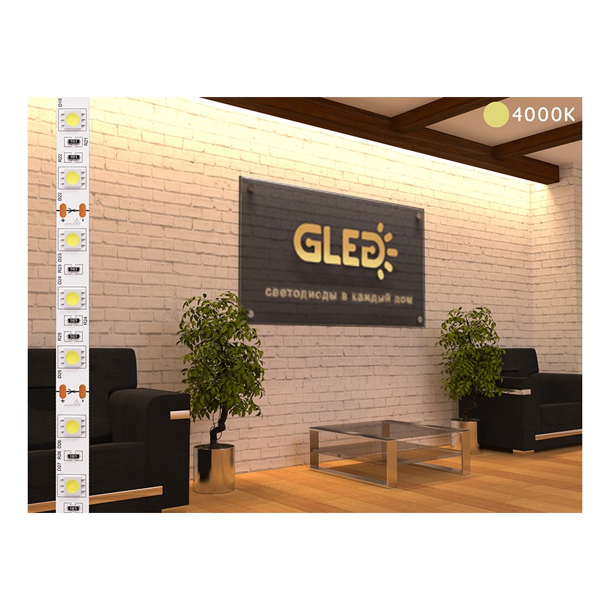 GLed Светодиодная лента GLed IP22 5050/60 LED (ELITE, 12, Дневной белый) 4601011920347