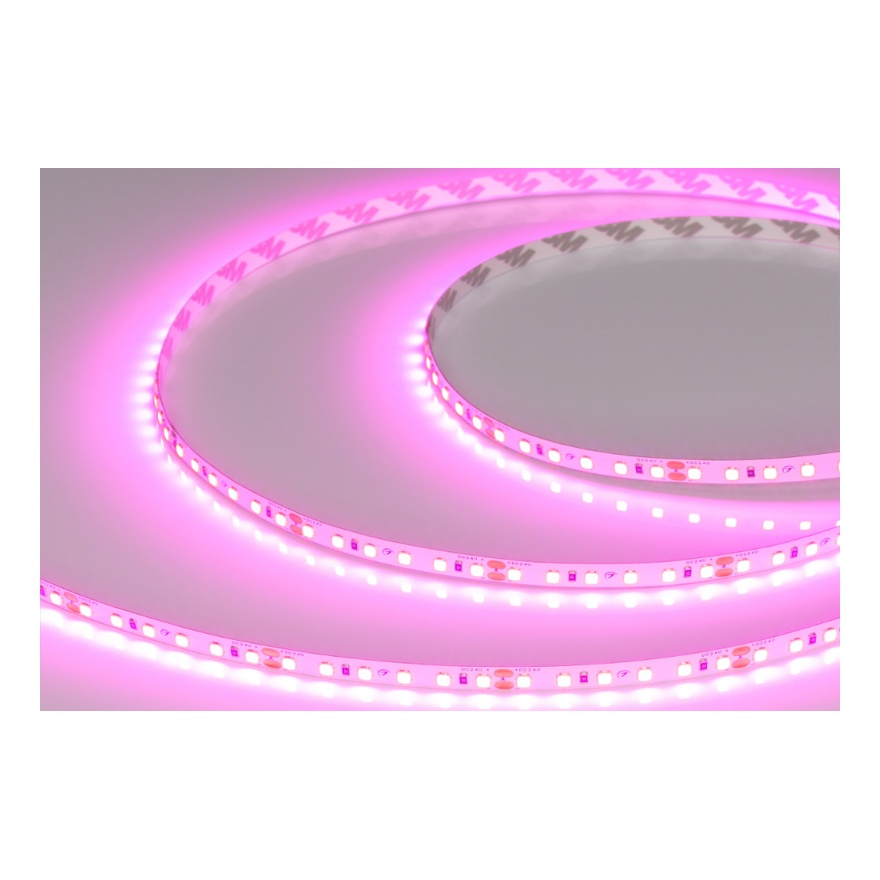 ARLIGHT Светодиодная лента RT-A120-8mm (9.6 W/m, IP20, 2835, 5m) (LUX, 24, Ультрахолодный 8000 К) 2978020137472